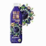 Hola! Aloe Blueberry 500 ml