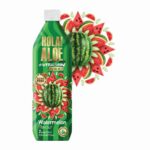 Hola! Aloe Watermelon 500 ml